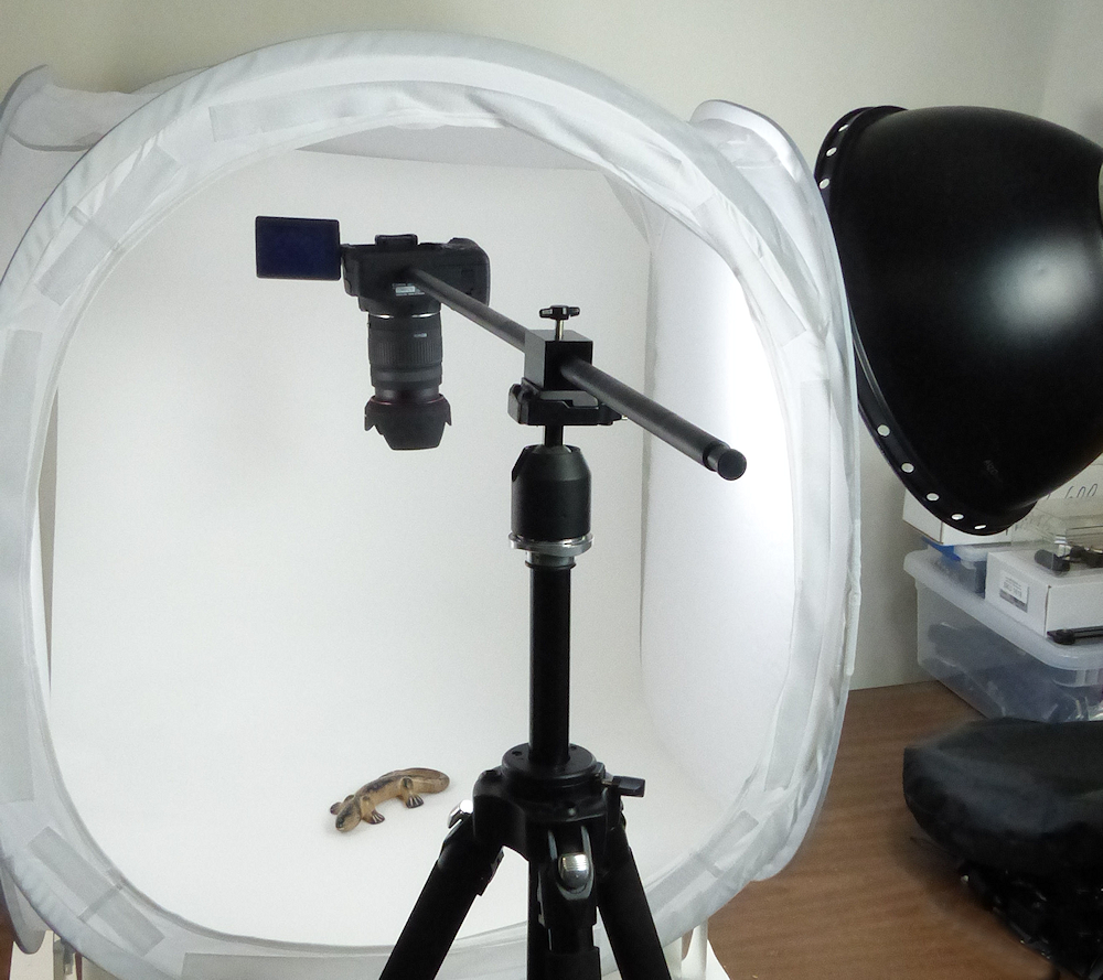 tent camera ALZO Horizontal Camera Mount, Tripod Accessory for Overhead Product Photography