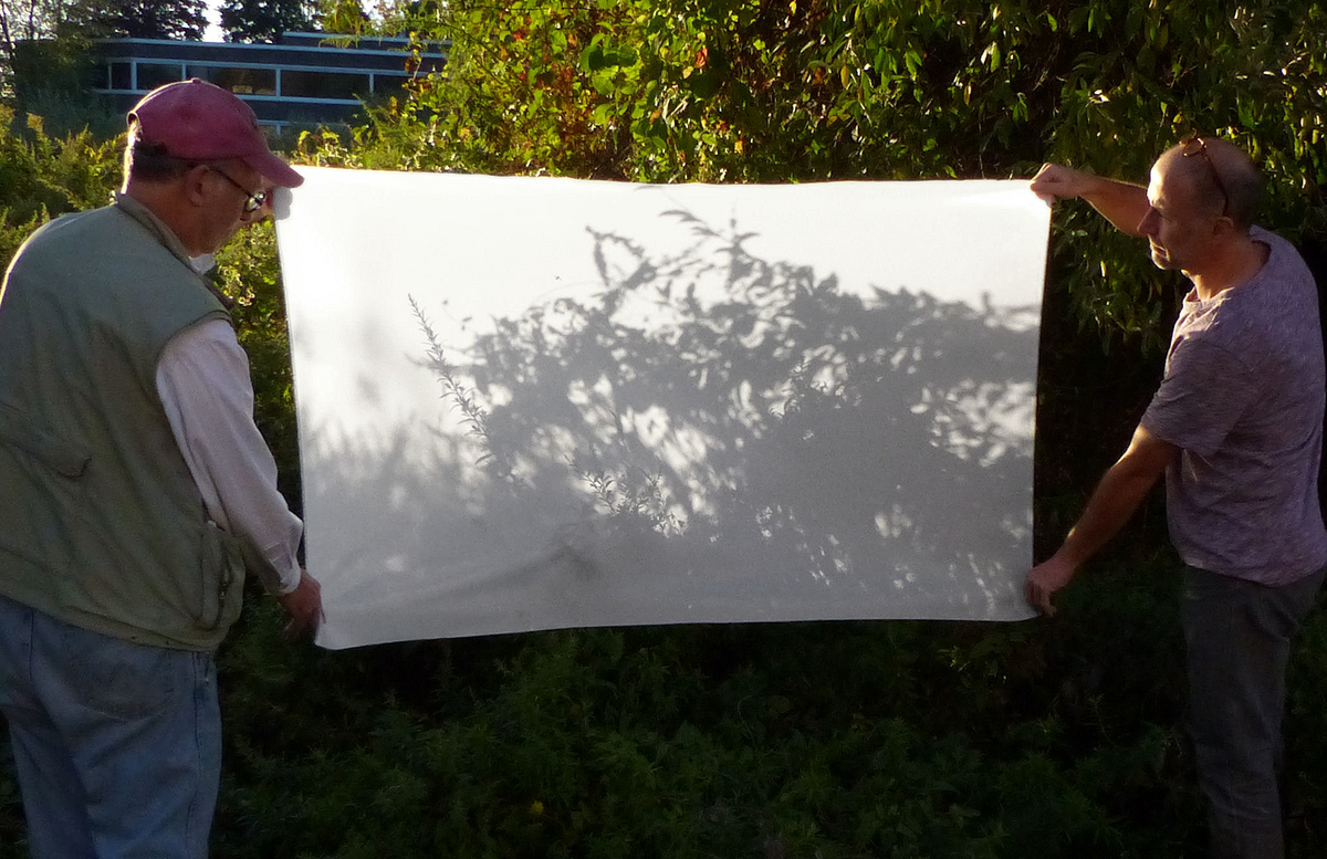 ALZO Silk Diffusion Fabric White 1 Yard held by men