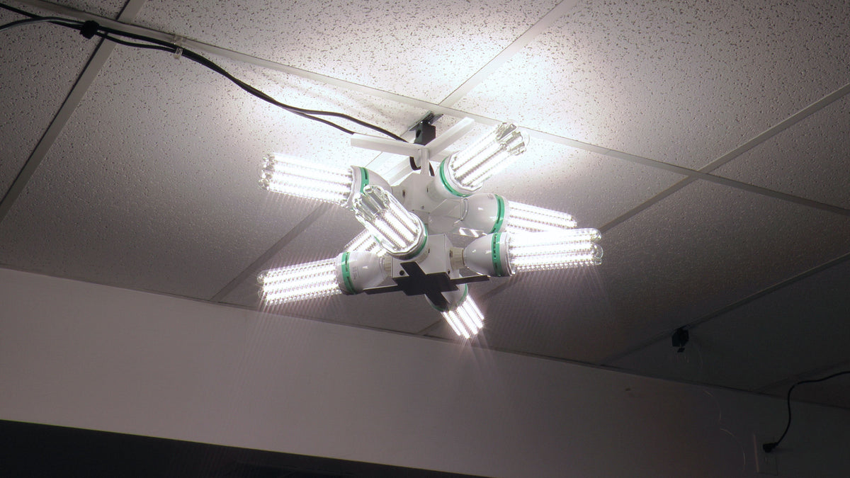 ALZO Duplex Socket Drum Light and Diffuser with 8 Bulb Capacity, No Bulbs no diffuser