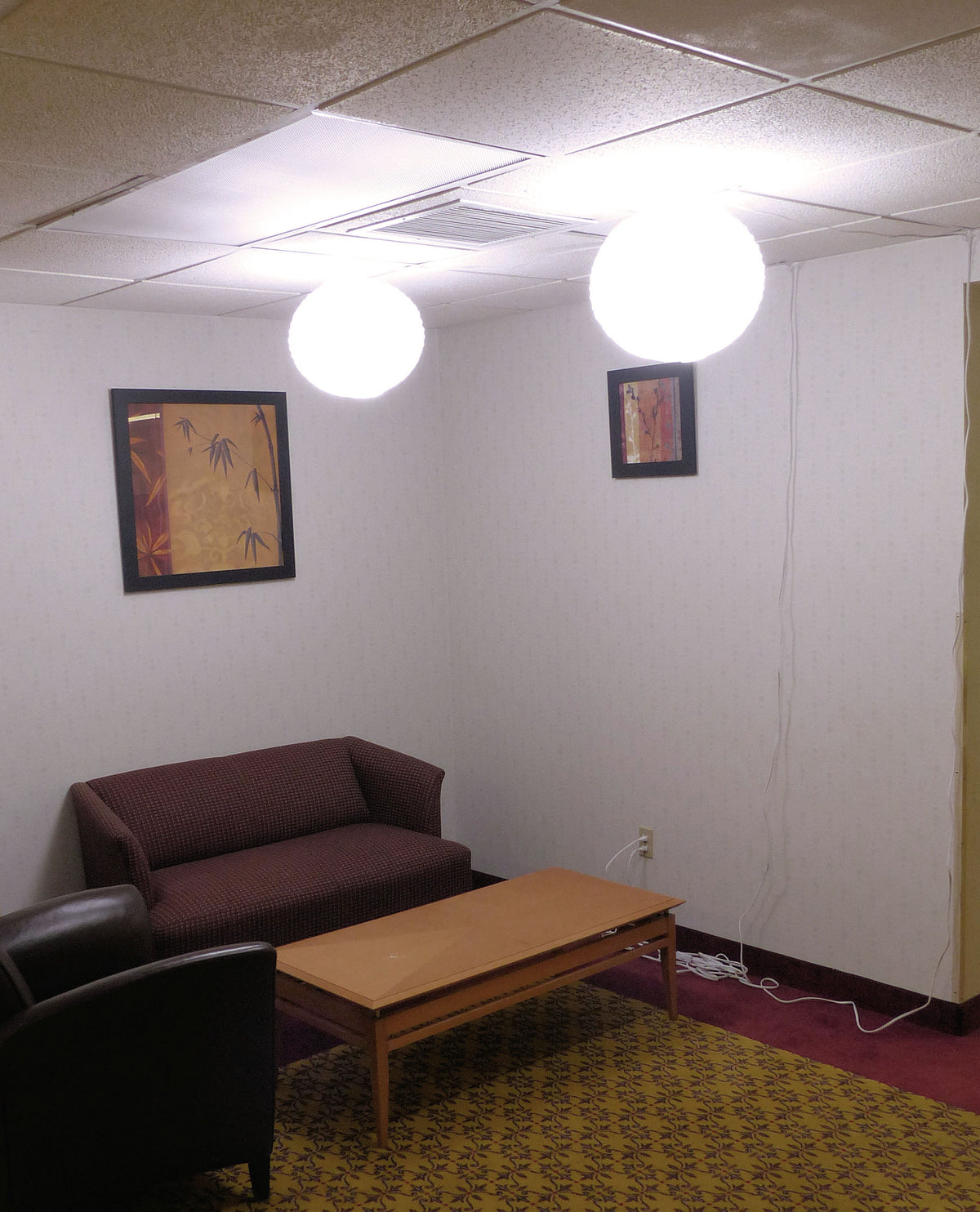 ALZO LED China ball overhead light 26 ft switched cord - Double