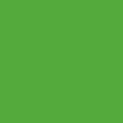Seamless Photo Background Paper Roll Chroma Key Green