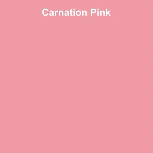 Seamless Photo Background Paper Roll Carnation Pink