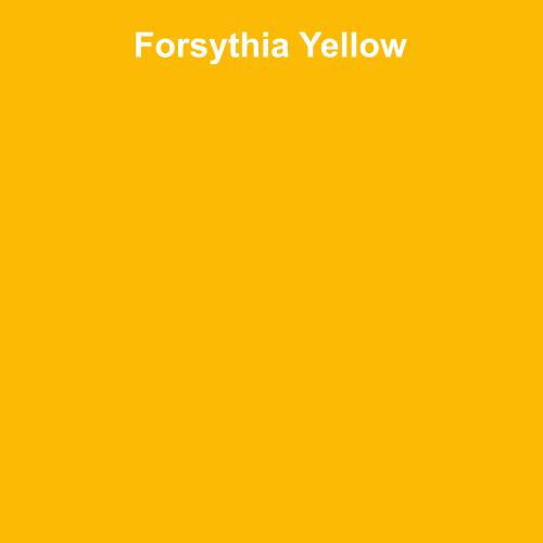 Seamless Photo Background Paper Roll 53 Inches Wide Forsythia Yellow