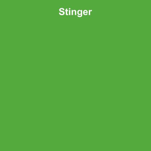 Seamless Photo Background Paper Roll Stinger Green