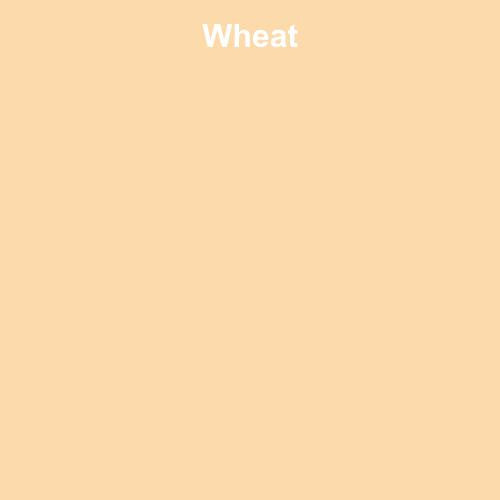 Seamless Photo Background Paper Roll Wheat